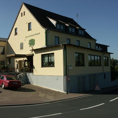 Restaurant Gruener Baum Ξενοδοχείο Leidersbach Εξωτερικό φωτογραφία